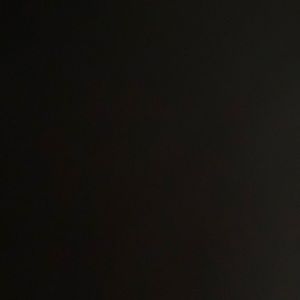 Bebe lingerie/thong /panty